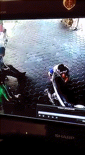 아빠의 반응.gif | 인스티즈