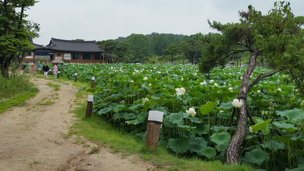 마당식당 이미지
