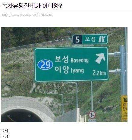 유머 모음집 | 인스티즈