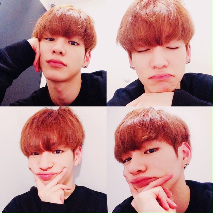 차니차니 이미지