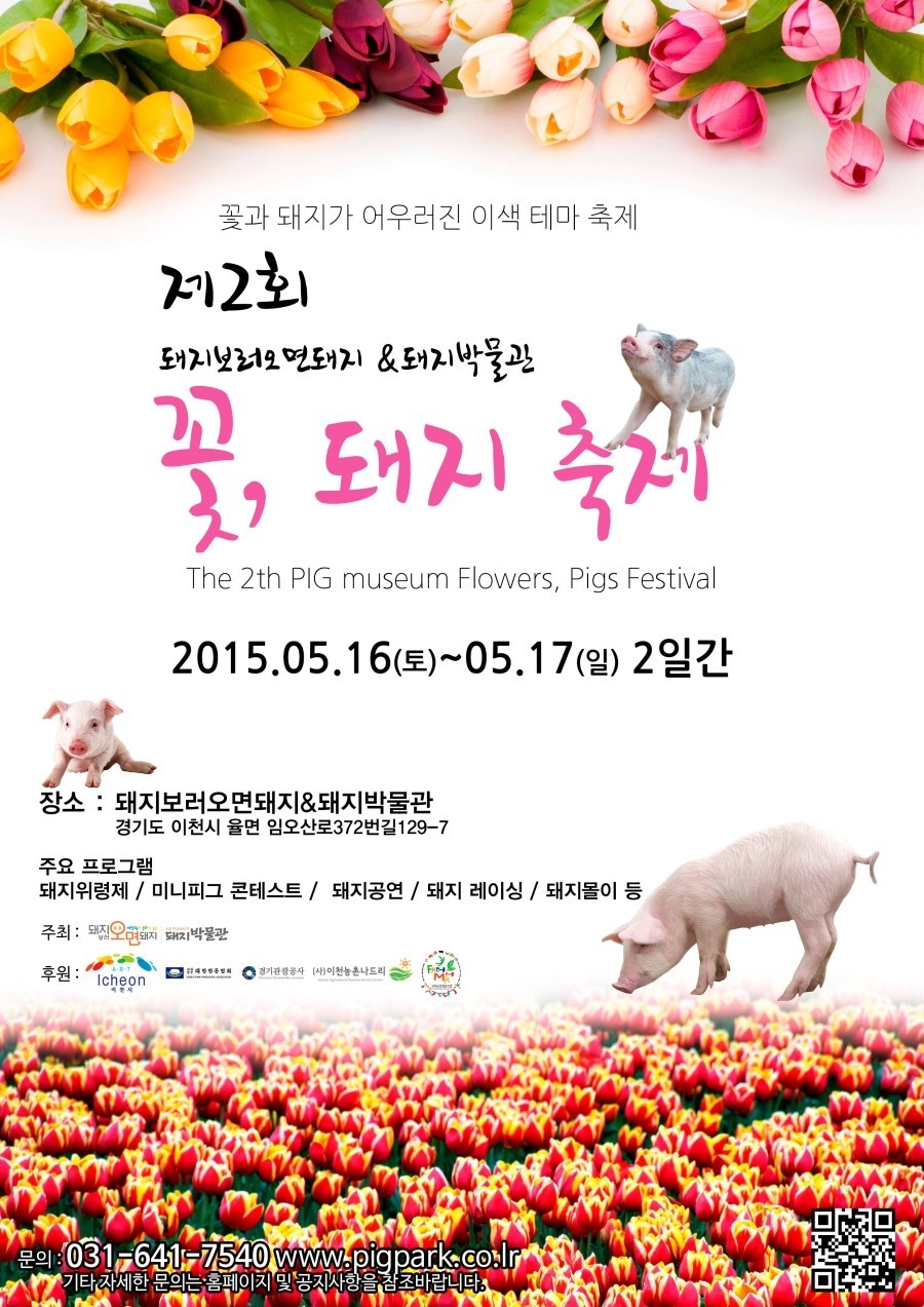 꽃돼지 이미지