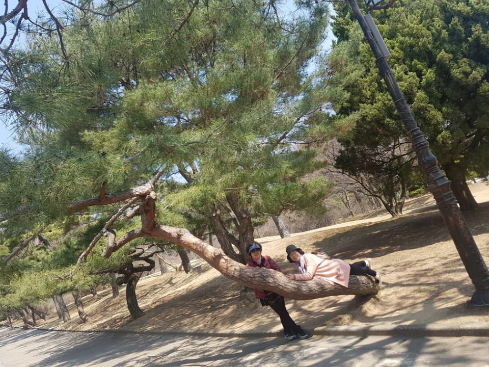나들아 이미지