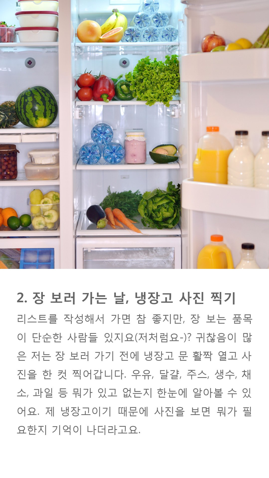 나혼자 사는 무지개 회원들을 위한 팁 | 인스티즈