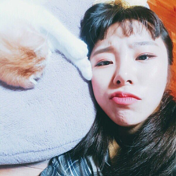 꼬모 이미지