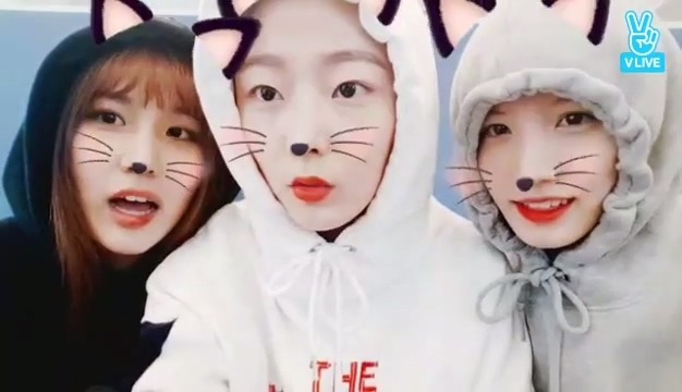 브이앱에서 슬슬 데뷔냄새가 나는 프리스틴 | 인스티즈