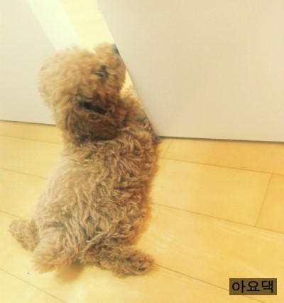 하나언니 이미지