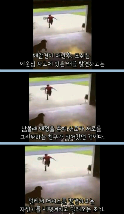 귀여운 무단침입자 | 인스티즈