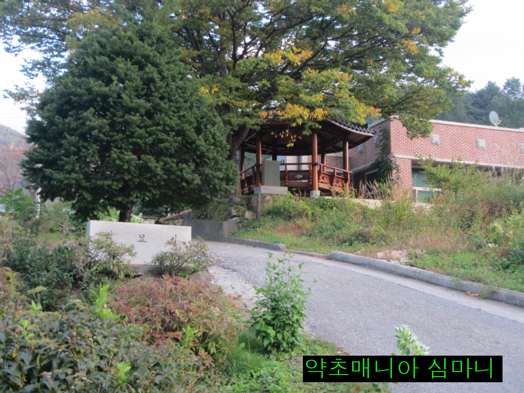 체험나라 이미지