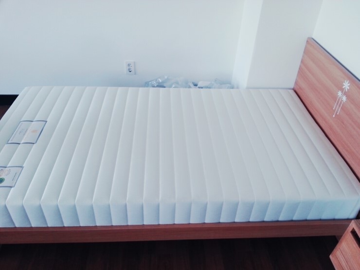 제주한라대학교 이미지