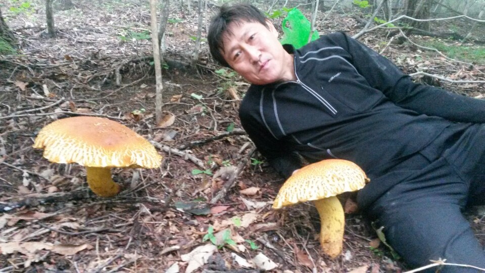 웃물가 이미지