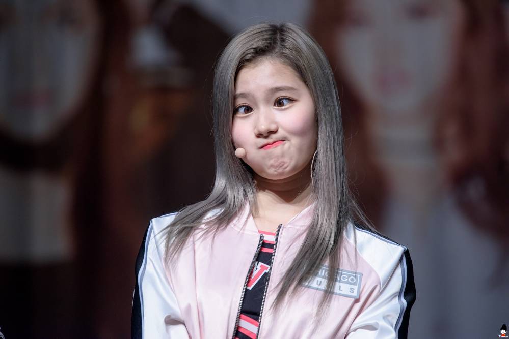 바보 사나 | 인스티즈