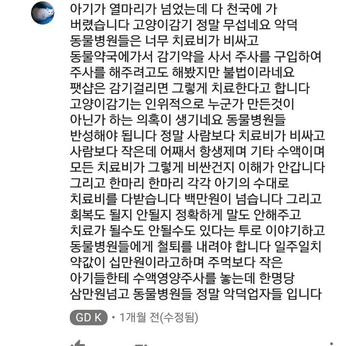 가정집 고양이공장같은 애니머호더 유튜버 봐줘라 | 인스티즈