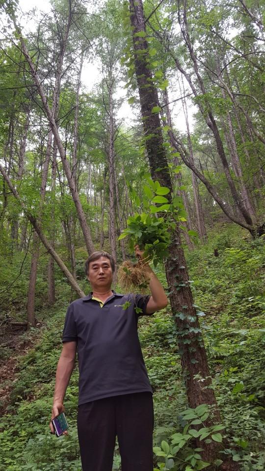산양농장 이미지