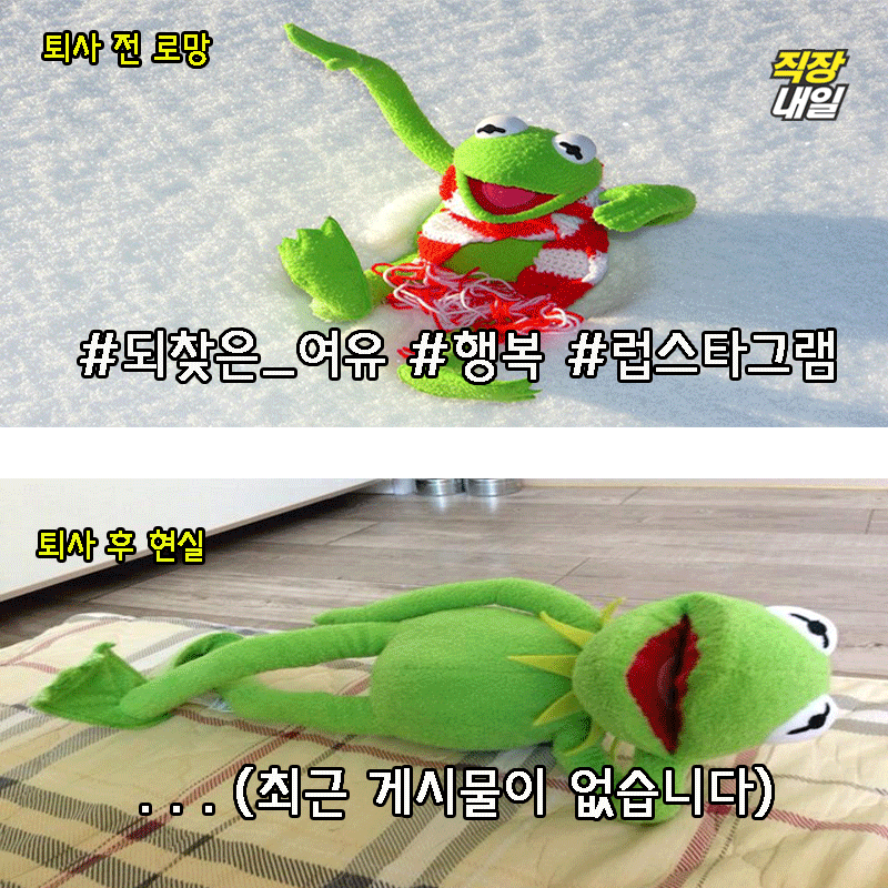 직장인 개구리가 퇴사를 해보았다(팩트폭행 주의) | 인스티즈