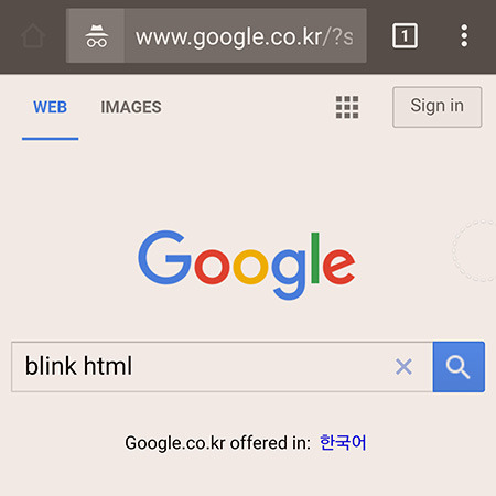하지말라고 만들어놓은 구글의 장난질 5선 | 인스티즈