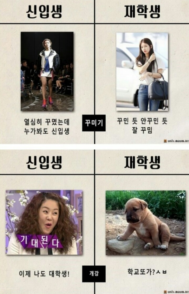 대학 신입생과 재학생의 차이 | 인스티즈
