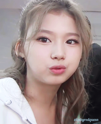잘먹는 사나.gif | 인스티즈