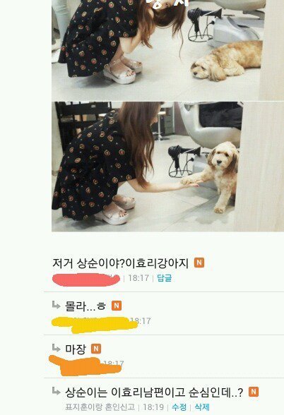 저거 이효리 강아지야?? | 인스티즈