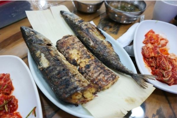 대전 맛집 몇곳 정리 | 인스티즈
