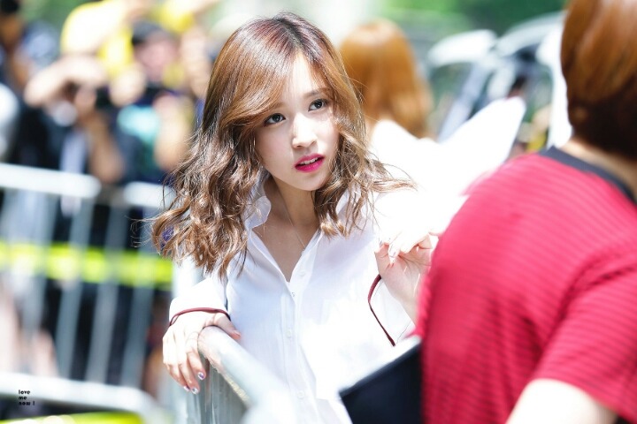 묘이 미나.gif+jyp | 인스티즈