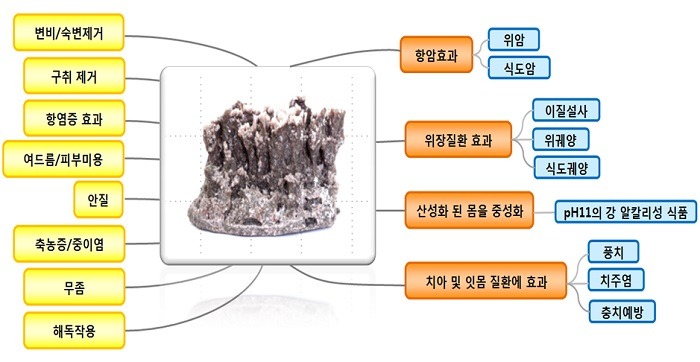 인산죽염서 이미지