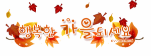 서울 한복판에서 즐기는 여의도 밤도깨비 야시장! | 인스티즈