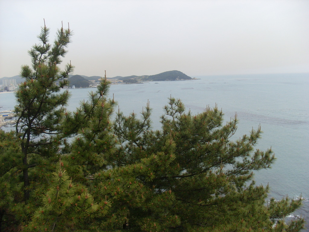 삼포가는길 이미지