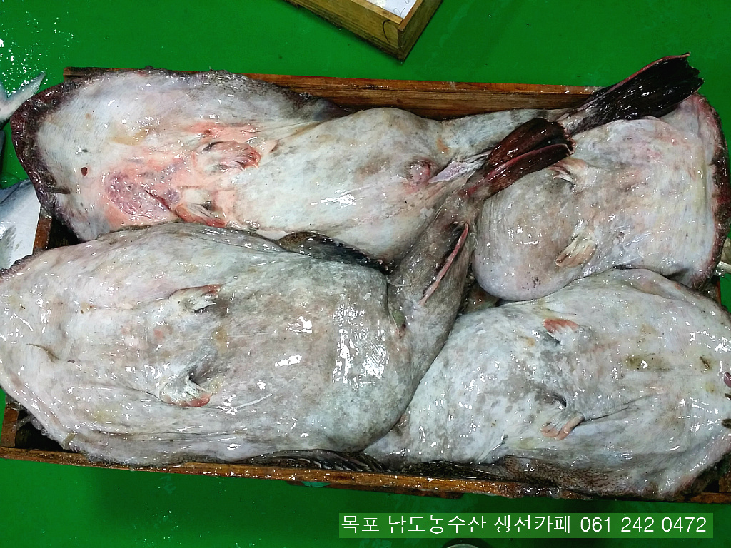 금당롯지 이미지