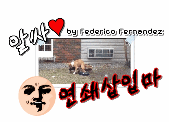 노래주머니.gif | 인스티즈