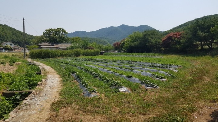 운학골 이미지
