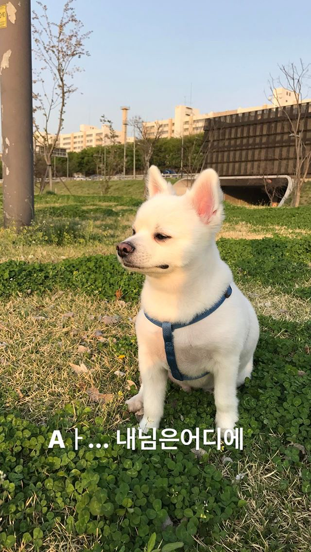 크러쉬 인스타 | 인스티즈