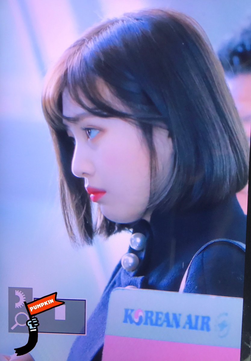 오늘자 일본 출국하는 레드벨벳 완전체 | 인스티즈