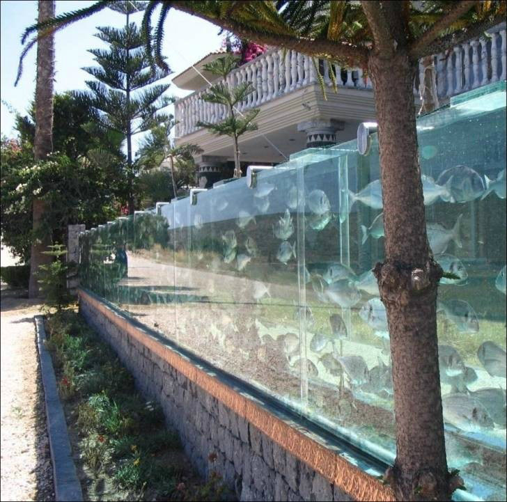 프레퍼 이미지
