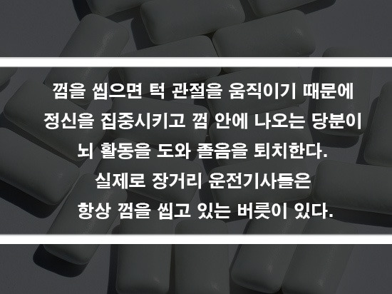 영바이오 이미지