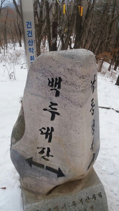 피제 이미지