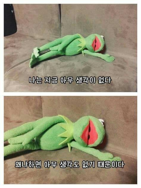 개구리파티는 아침해가뜨기전까지계속된다, | 인스티즈