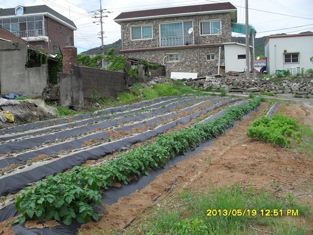 밀려오네마트 이미지