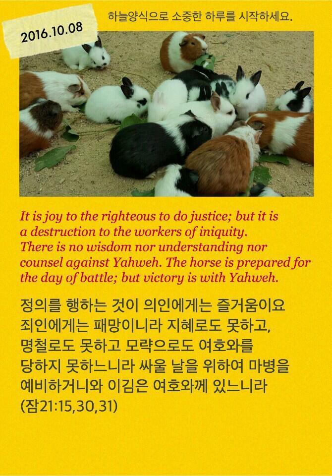 이김 이미지