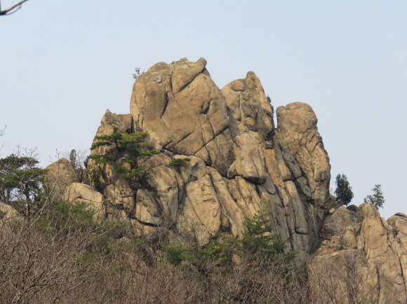 보배사 이미지