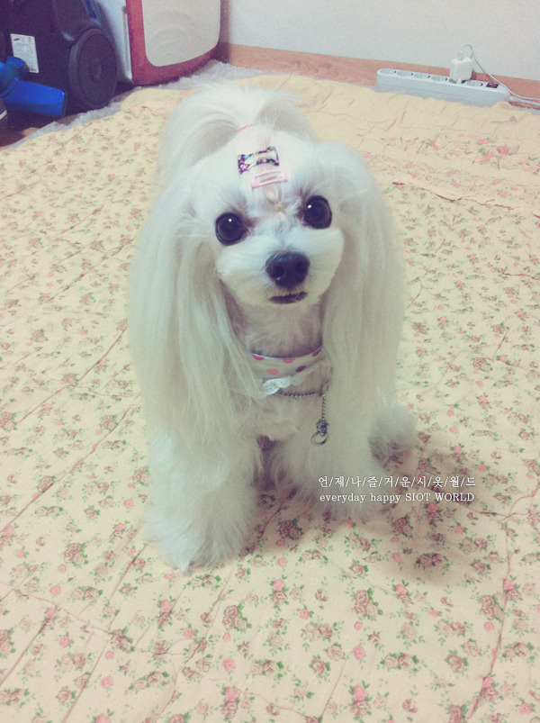 달샘 이미지