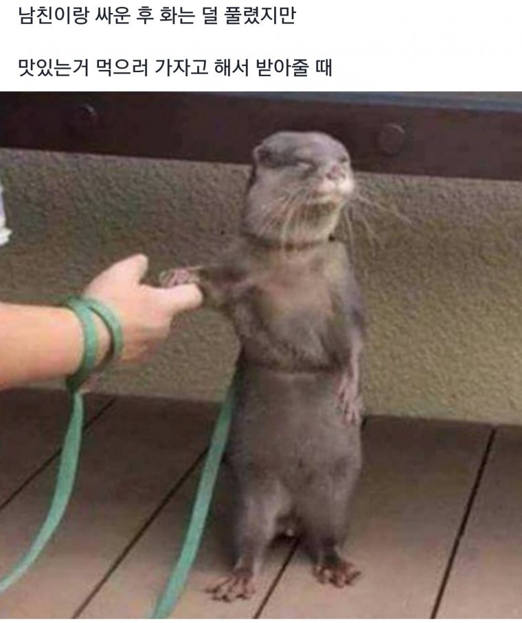 남친이랑 싸운 후에 화는 덜 풀렸지만... | 인스티즈