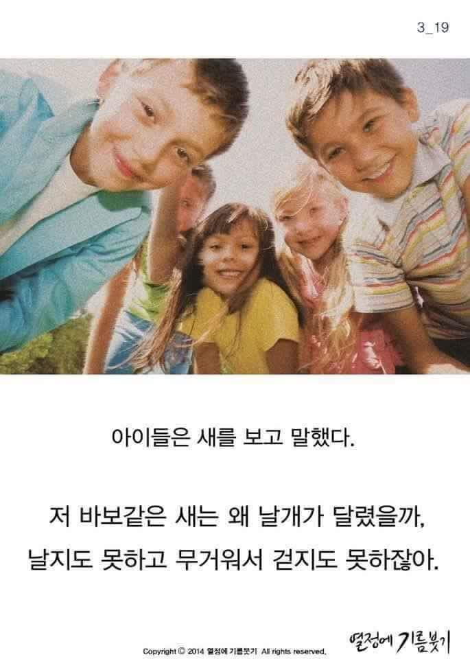 날개가 너무 커서 날지 못하는 새 | 인스티즈
