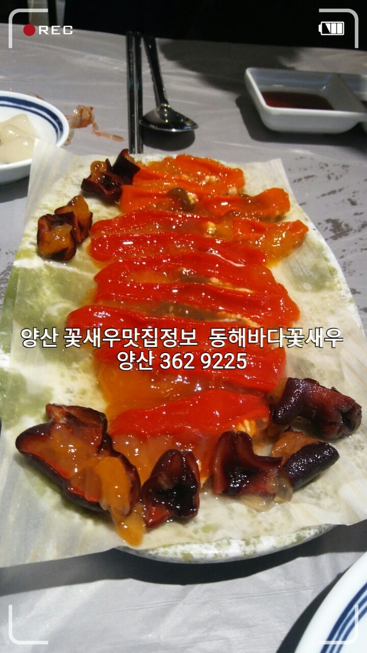 동해바다꽃새우 이미지