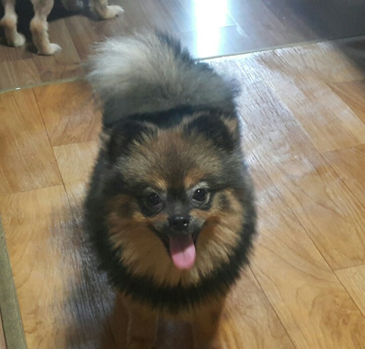 야야 이미지
