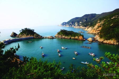 흑산도사리수산 이미지