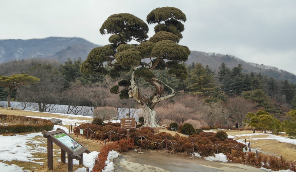별빛정원 이미지
