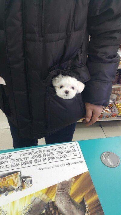 계산하다 심쿵 | 인스티즈
