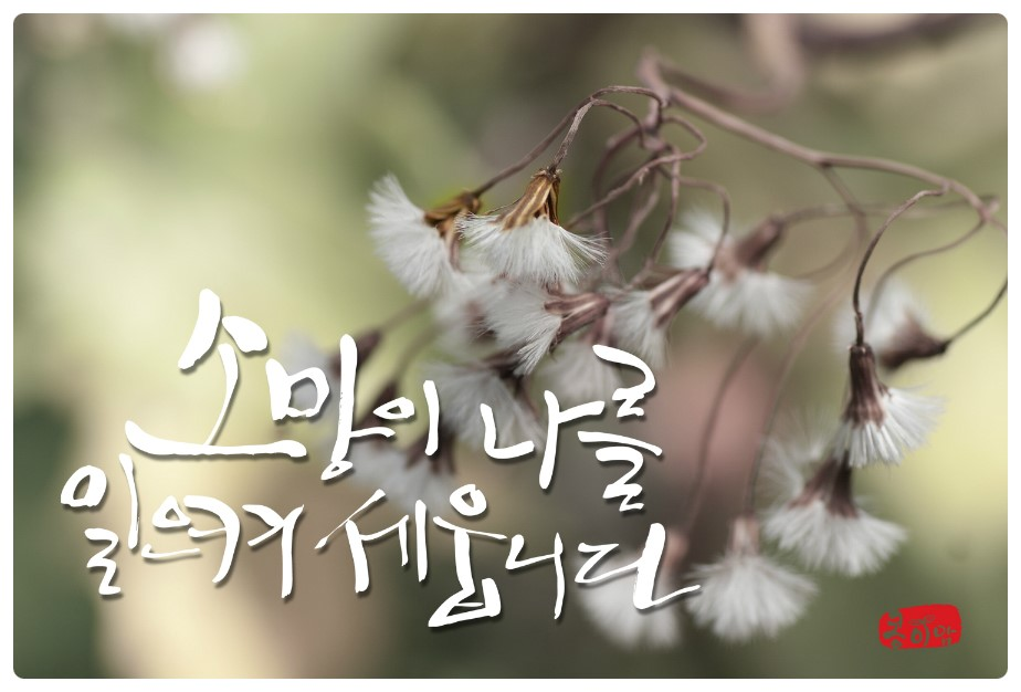 소망네트워크 이미지