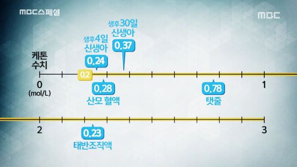[다이어트] 고지방 저탄수화물식단 위험한 다이어트일까? | 인스티즈