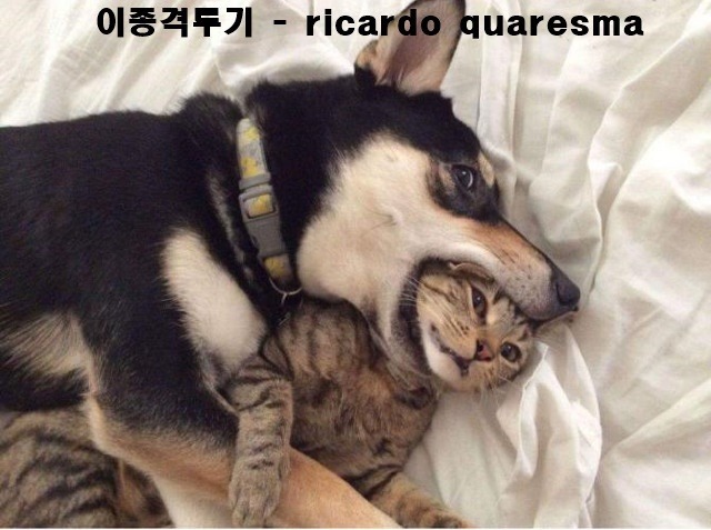 일본사람이 본 한국의 여자고등학교 | 인스티즈